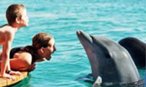 Israel: Dolfinim - Die Heilkraft der Delphine